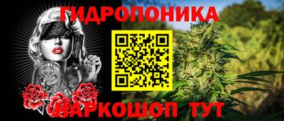 дмт Заволжье
