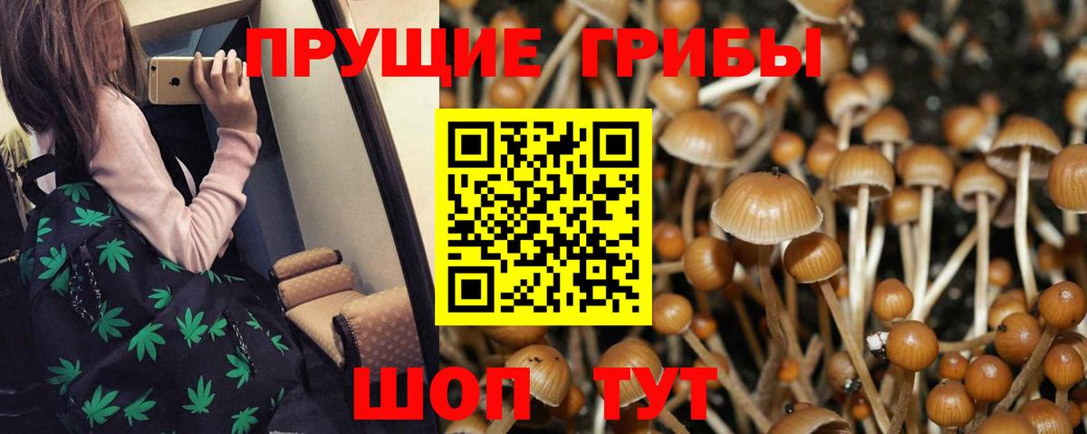 Псилоцибиновые грибы ЛСД  Вход с VPN  Балашов  Галлюциногенные грибы мухоморы 