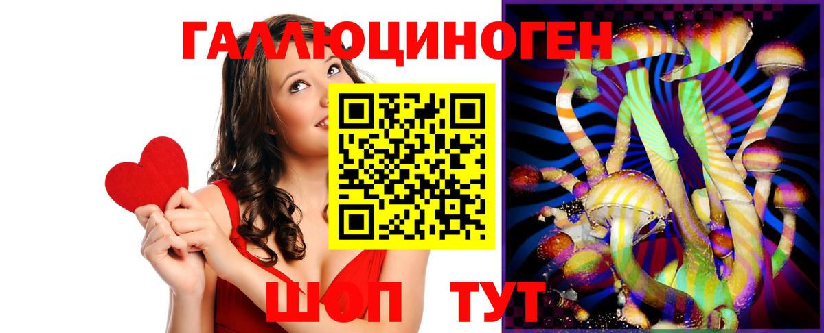 Галлюциногенные грибы Psilocybine cubensis Балашов