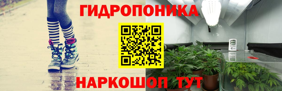 МАРИХУАНА планчик Балашов